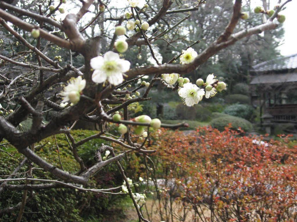 Gosho Nishi Kyoto Heian Hotel מראה חיצוני תמונה